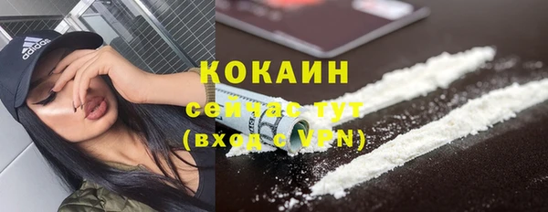 индика Зерноград