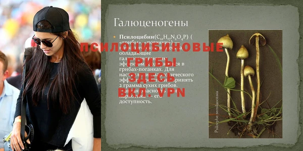 индика Зерноград