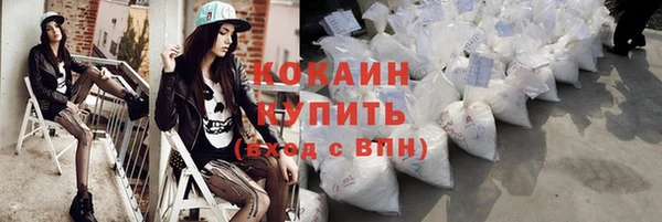 индика Зерноград